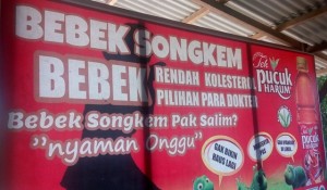 Bebek Songkem Pak Salim