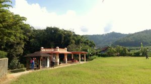 IMG_20160709_141101_800x445