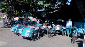 IMG_20160811_082802_800x447