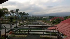 Menikmati Olahan Ikan Segar Di Warung Wareg di Kota Batu