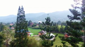 Memilih Penginapan Yang Direkomendasikan Di Sekitar Taman Safari Cisarua Bogor