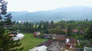 img_20160830_060208_800x447