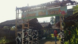 Cimory Mountain View Tempat Belajar Ternak Yang Menarik Untuk Anak