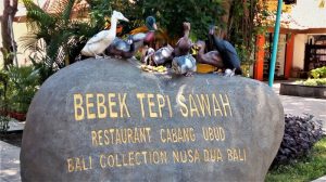 Bebek Tepi Sawah