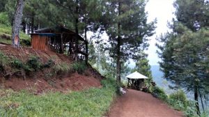 img_20170101_124826_800x447