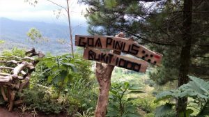 img_20170101_124900_800x447