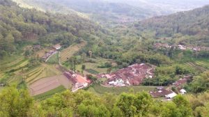 img_20170101_130649_800x447