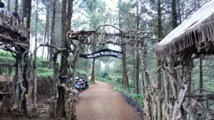 img_20170101_141849_800x447