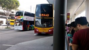 Naik bis ke Tsim Sha Tsui dari Bandara Hong Kong
