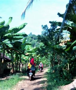 Jalan Masuk Pantai Tiga Warna di Malang Selatan 