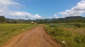 Akses Masuk Pantai Sendiki Malang