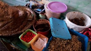 Pembuatan Rujak Cingur Warung Rujak Bu Any Kota Batu