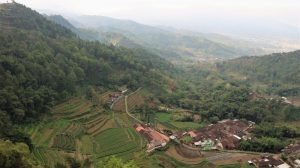 Rumah Honai di Kampung Papua di Gunung Banyak
