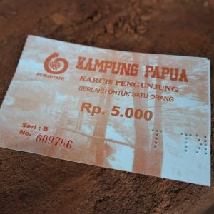 Rumah Honai di Kampung Papua