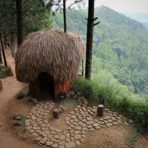 Rumah Honai di Kampung Papua