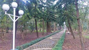Hutan Kota Malabar di Malang