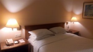 Hyatt Regency Hotel Yogyakarta