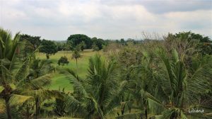 Hyatt Regency Hotel Yogyakarta 