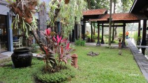 Hyatt Regency Hotel Yogyakarta