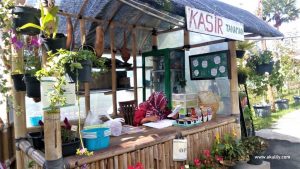 Belajar Menanam Sayuran Hidroponik di Jendela Alam Lembang Bandung