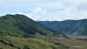 Menikmati Keindahan Savana Gunung Bromo dari Arah Desa Ngadas