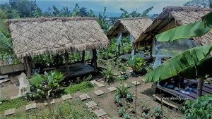 Enaknya Menu Ndeso ala Warung De Sawah di Dau Malang