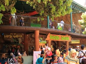 Wisata Edukasi Untuk Anak di Batu Secret Zoo Kota Batu