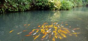 Menyusuri Keunikan Lembah Tumpang Resort Kabupaten Malang
